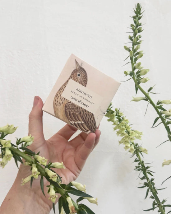 A hand holds a box labeled Bird Bath - Handmade Soap by The Quiet Botanist, featuring a bird illustration and flowering stems against a white background.