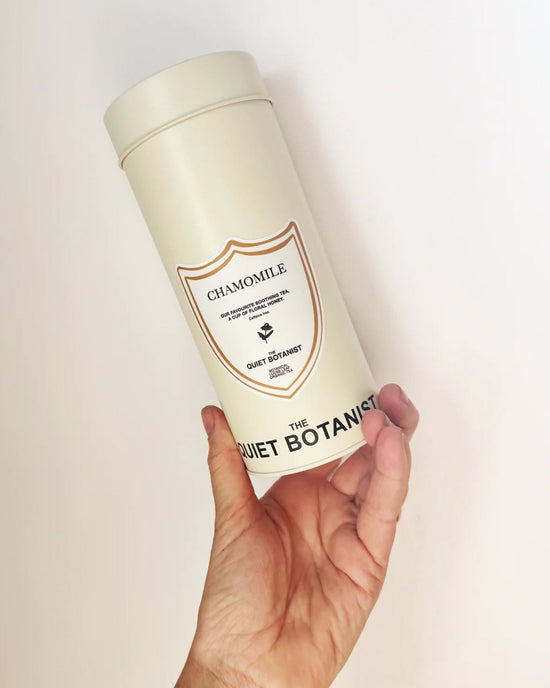 A hand holds a cylindrical tin of Chamomile Tea by The Quiet Botanist against a plain white background, showcasing this caffeine-free herbal infusion.