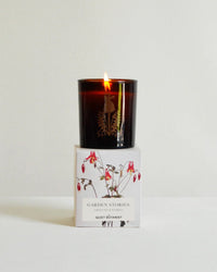 A lit Garden Stories Candle by The Quiet Botanist, crafted from coconut wax, glows in a dark jar atop its botanical-illustrated box.