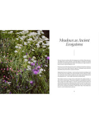 On the left, a meadow of wildflowers and grasses is shown. On the right, text from Cozy Publishing's "Where Flowers Bloom" explores how meadows inspire natural bouquets and support biodiversity through history and flower philosophy.