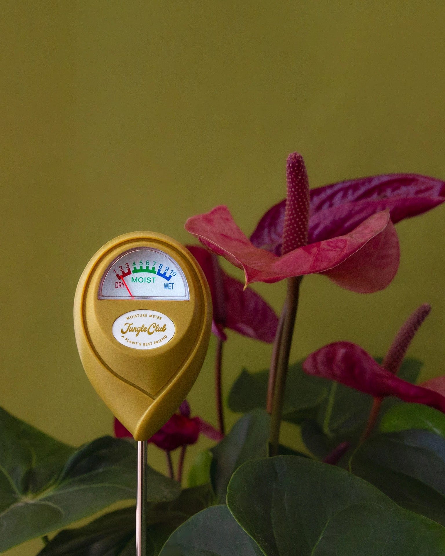 Moisture Meter in Green