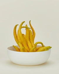 A Simple Porcelain Serving Bowl by Hawkins New York holds vivid yellow Buddhas hand citrus fruit with finger-like projections, set against a plain light background.
