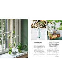 A two-page spread from Simon & Schuster's Propagation Handbook showcases vases with leafy cuttings on windowsills and tables, plus tips for reusing bottles as plant holders. Sunlight streams in, sparking propagation ideas.