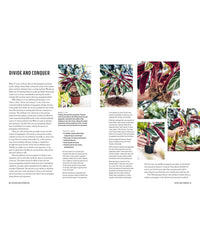 The Propagation Handbook by Simon & Schuster shares insightful tips and techniques for successful plant propagation, helping indoor gardens thrive.