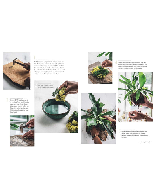 Wild Creations by Simon & Schuster guides you through making a decorative plant arrangement with moss, a bowl, hammer, nails, and greenery. Clear photos make it easy to create your own plant DIY project and enhance interior design.